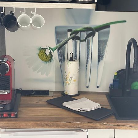 1 Zimmer Appartement In Bad Rothenfelde Dış mekan fotoğraf